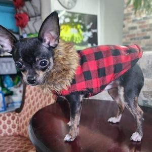 Meet your Posher, Felice